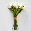 White Tulip Bunch