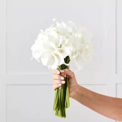 Fashion Home Decor Store -Fashion Home Decor Store 1050492 bb