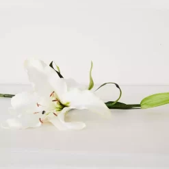 Lily Stem -Fashion Home Decor Store 1117254613 C