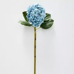 Hydrangea Flower