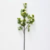 Humulus Stem -Fashion Home Decor Store 1117256706 aa