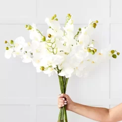 Orchid Stem 7 Orchid Stem -Fashion Home Decor Store 1117256710 bb