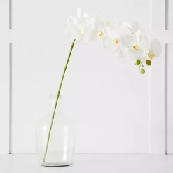 Orchid Stem 8 Orchid Stem -Fashion Home Decor Store 1117256710 s