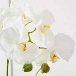 Orchid Stem 9 Orchid Stem -Fashion Home Decor Store 1117256710 t