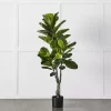 Potted Ficus 1 Potted Ficus -Fashion Home Decor Store 1117257675 s
