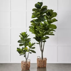 Potted Ficus 7 Potted Ficus -Fashion Home Decor Store 1117257675 u