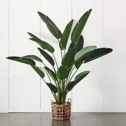 Potted Plant Palm -Fashion Home Decor Store 1117258241 B