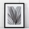 Silver Leaf I Print 42x53 -Fashion Home Decor Store 1117258753 m
