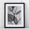 Silver Leaf II Print 42x53 -Fashion Home Decor Store 1117258754 m