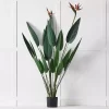 Bird Of Paradise Plant -Fashion Home Decor Store 1117258820 A