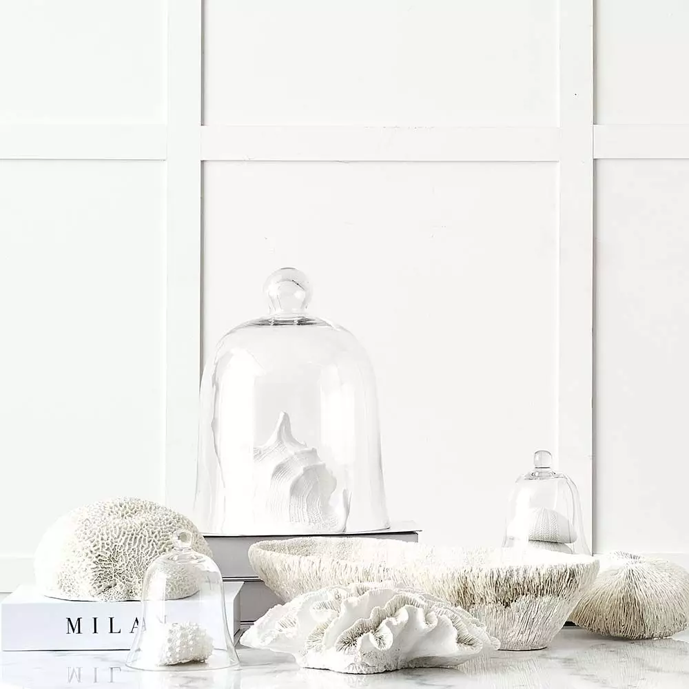 Ecology Spinifer Coral 4 Ecology Spinifer Coral - Image 2