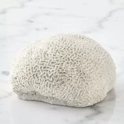 Ecology Membrane Coral