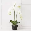 Blume 3 Stem Orchid -Fashion Home Decor Store 1117259429 A
