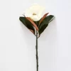 Magnolia Flower -Fashion Home Decor Store 1117259553 aa