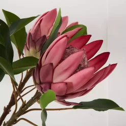 Protea Flower -Fashion Home Decor Store 1117259914 B