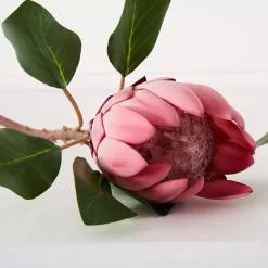 Protea Flower -Fashion Home Decor Store 1117259914 D