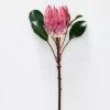 Protea Flower -Fashion Home Decor Store 1117259914 aa