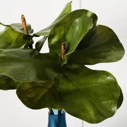 Fig Leaf Stem -Fashion Home Decor Store 1117260066 B