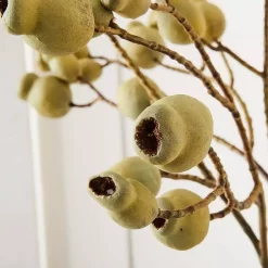 Gumnut Stem -Fashion Home Decor Store 1117260067 B