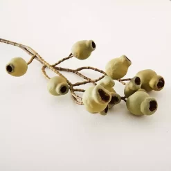 Gumnut Stem -Fashion Home Decor Store 1117260067 C