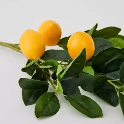 Lemon Stem -Fashion Home Decor Store 1117260334 c