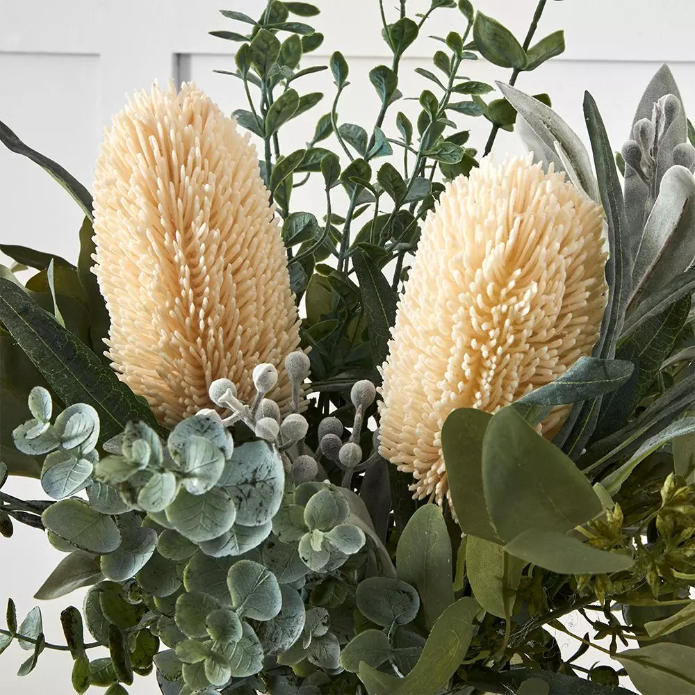 Protea Eucalypt Potted Flower M 4 Protea Eucalypt Potted Flower M - Image 2