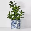 Macau Planter -Fashion Home Decor Store 1117261584 a