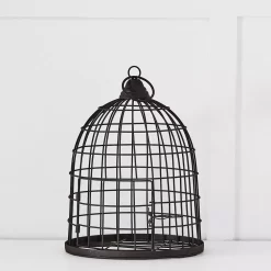 Canard Birdcage