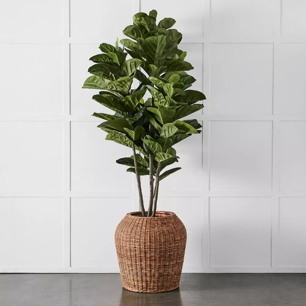 Rafael Planter 3 Rafael Planter